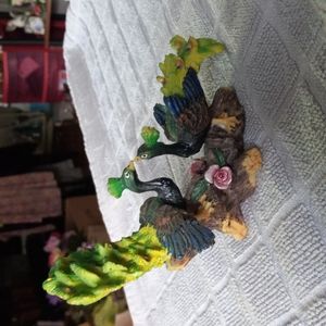 Kissing Peacock Birds.